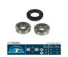 BTA H17004BTA Wheel Bearing Kit